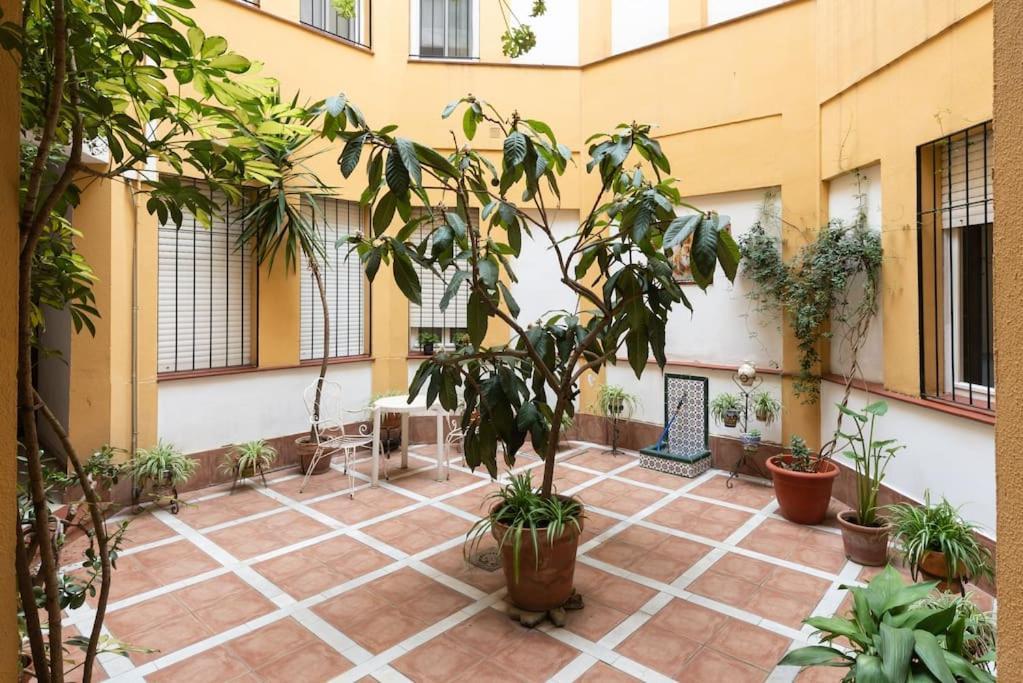 Mia Suite. Center Of Sevilla Exteriör bild